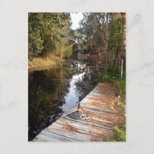 Carte Postale Plaine noire de Floride