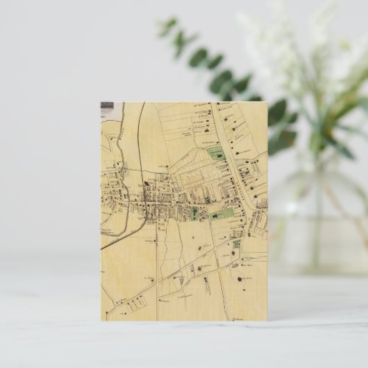 Carte Postale Plaines blanches, NY (Debout devant)