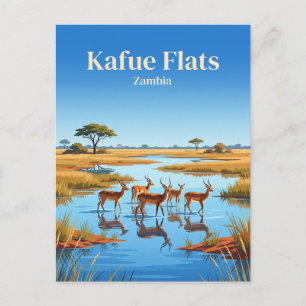 Carte Postale Plaines de Kafue, Parc national de Blue Lagoon, Za