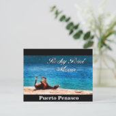 Carte Postale Plaisir Au Soleil (Debout devant)