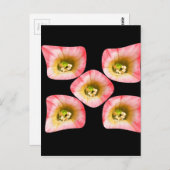 Carte Postale Plaisir Floral (Devant / Derrière)