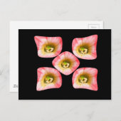 Carte Postale Plaisir Floral (Devant / Derrière)