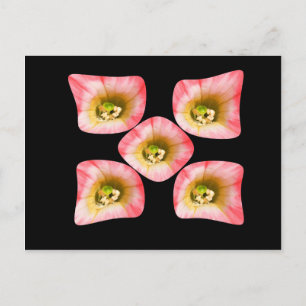 Carte Postale Plaisir Floral