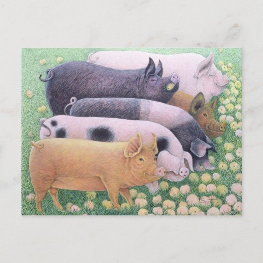 Carte Postale Plaisir pur (Devant)