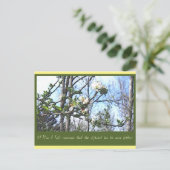 Carte Postale Plan A (Debout devant)