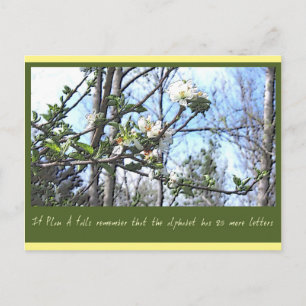 Carte Postale Plan A