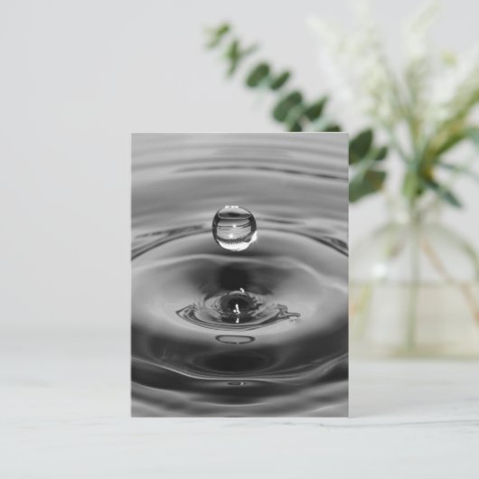 Carte Postale Plan d'art lent motion goutte d'eau (Debout devant)