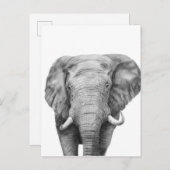 Carte Postale Plan de sauvegarde IV (Devant / Derrière)