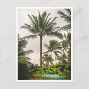 Carte Postale Planche de surf sous un palmier à Hanalei Beach Ka
