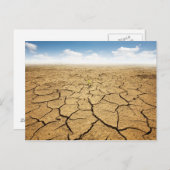 Carte Postale Plancher désertique fissuré (Devant / Derrière)