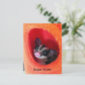 Carte Postale Planeur à sucre en Orange Hanging Lit (Debout devant)