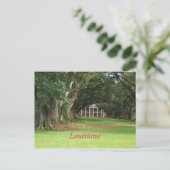 Carte Postale Plantation d'allée de chêneLouisiane (Debout devant)