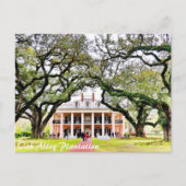 Carte Postale Plantation de chêne (Devant)