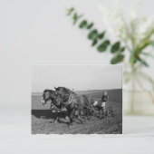 Carte Postale Plantation de maïs dans l'Iowa (Debout devant)