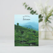 Carte Postale Plantation de thé à Taïwan (Debout devant)