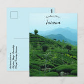 Carte Postale Plantation de thé à Taïwan (Devant / Derrière)