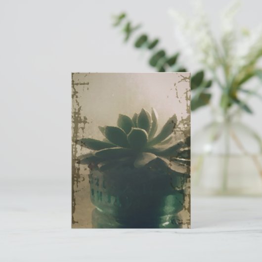 Carte Postale Plante (Debout devant)