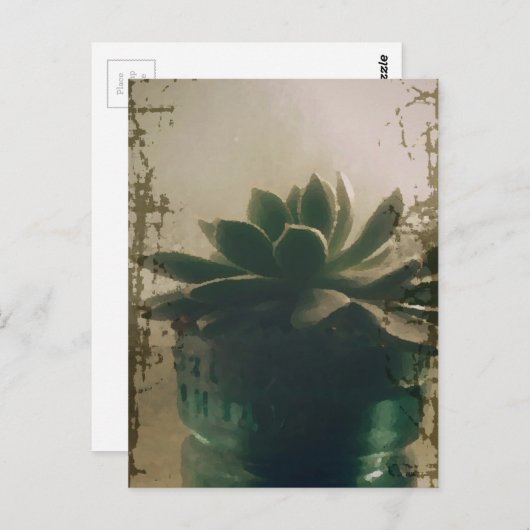 Carte Postale Plante (Devant / Derrière)