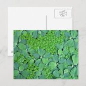 Carte Postale Plante (Devant / Derrière)