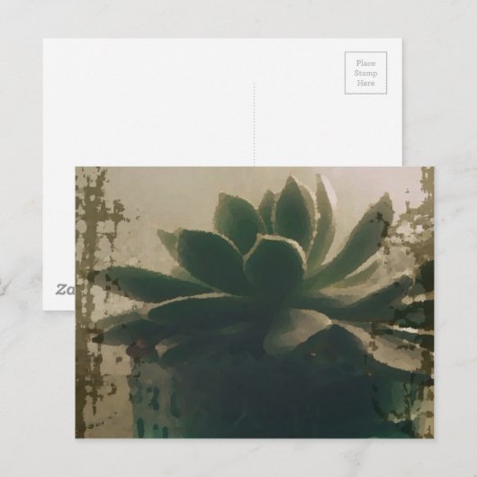 Carte Postale Plante (Devant / Derrière)