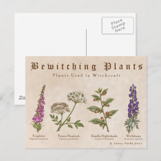 Carte postale Plante (Devant / Derrière)