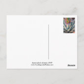 Carte postale plante Agave (Dos)