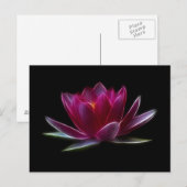 Carte Postale Plante aquatique de fleur de Lotus (Devant / Derrière)