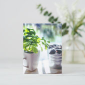 Carte Postale Plante Basil (Debout devant)