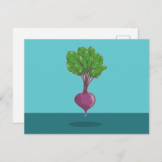 Carte Postale Plante betterave (Devant / Derrière)