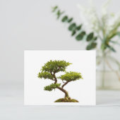 Carte Postale Plante Bonsai (Debout devant)
