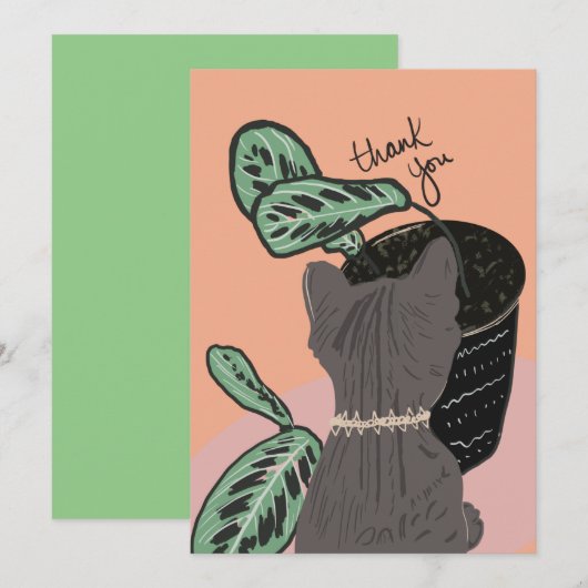 Carte postale Plante Cat Watching Merci (Devant / Derrière)