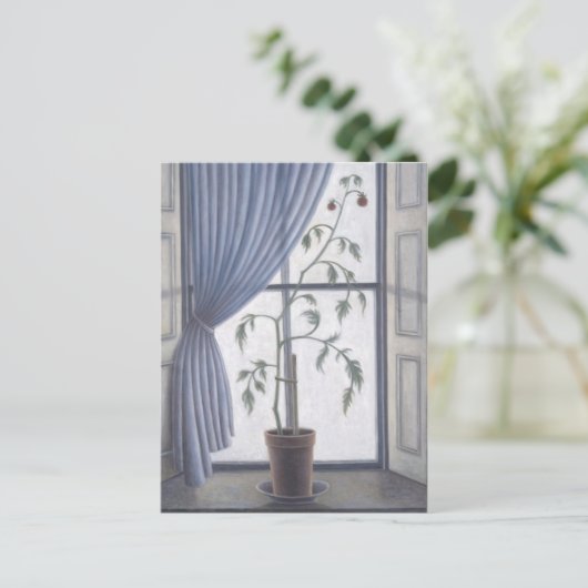 Carte Postale Plante dans Windows 2003 (Debout devant)