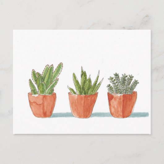 Carte Postale Plante de cactus Succulent à l'aquarelle (Devant)