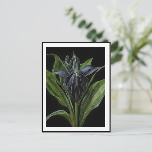 Carte Postale Plante De Chauve Noire Sur Noir, (Debout devant)
