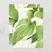 Carte Postale Plante de ficus 2 (Devant / Derrière)