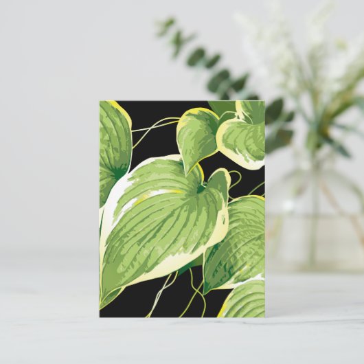 Carte Postale Plante de ficus 3 (Debout devant)