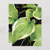 Carte Postale Plante de ficus 3 (Devant / Derrière)