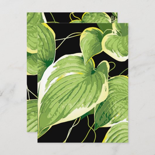 Carte Postale Plante de ficus 3 (Devant / Derrière)