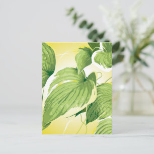 Carte Postale Plante de ficus 4
