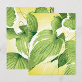 Carte Postale Plante de ficus 4 (Devant / Derrière)