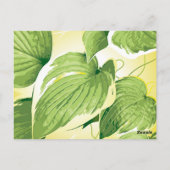 Carte Postale Plante de ficus 4 (Dos)