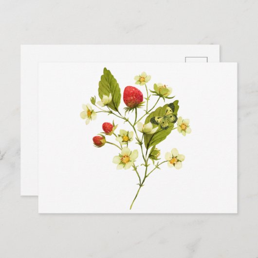 Carte Postale Plante de fraise à l'aquarelle élégante avec des f (Devant / Derrière)