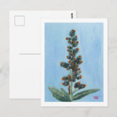Carte Postale Plante de ricin (Devant / Derrière)