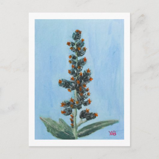 Carte Postale Plante de ricin (Devant)