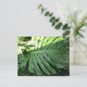 Carte postale Plante d'oreille d'éléphant hawaïen (Debout devant)