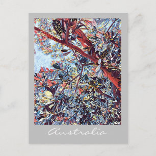 Carte Postale Plante d'origine de l'arbre australien Banksia