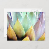 Carte Postale Plante du siècle no 1 (Devant / Derrière)