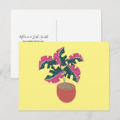 Carte Postale Plante en pot rose et verte panachée Monstera (Devant / Derrière)