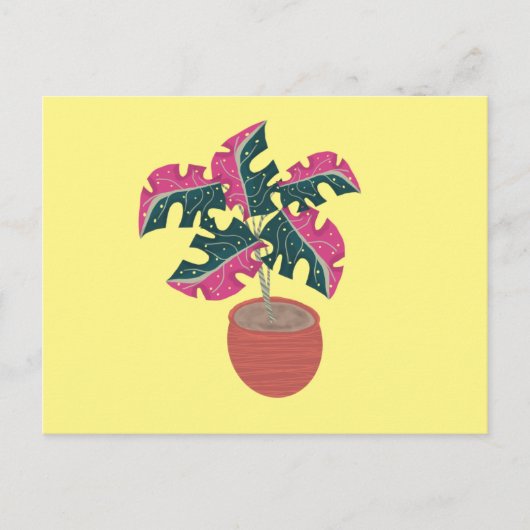 Carte Postale Plante en pot rose et verte panachée Monstera (Devant)