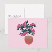 Carte Postale Plante en pot rose et verte panachée Monstera (Devant / Derrière)